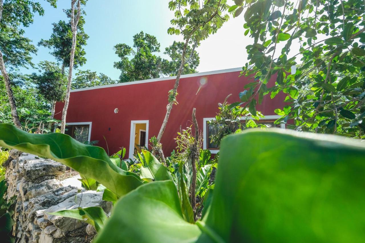 Wakax Hacienda - Cenote & Boutique Hotel Τουλούμ Εξωτερικό φωτογραφία