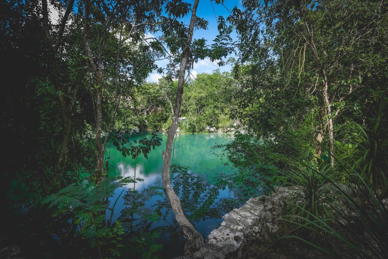 Wakax Hacienda - Cenote & Boutique Hotel Τουλούμ Εξωτερικό φωτογραφία